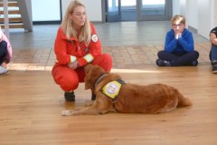 Rettungshundebrigade | Štafeta reševalnih psov