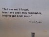 IMG-20250318-WA0036