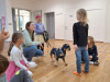 IMG-20251001-WA0015
