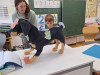 IMG-20251001-WA0020
