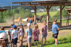 Lehrausgang: Bauernhof | Ogled kmetije