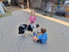 WhatsApp-Image-2026-05-27-at-12.00.45-1