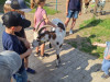 WhatsApp-Image-2026-05-27-at-12.01.09