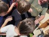 IMG-20250623-WA0033