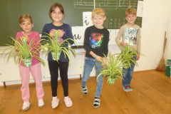 Projekt "Die grüne Lunge" | Projekt "Zelena pljuča"