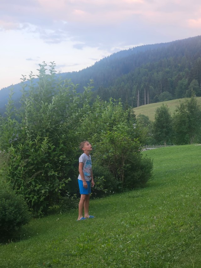 WhatsApp-Image-2026-07-02-at-08.58.43-7