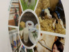 IMG-20251103-WA0036