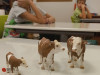 IMG-20251103-WA0044