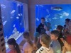 IMG_0136