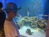 IMG_0139