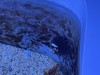 IMG_0153