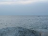 IMG_0185