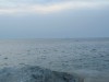 IMG_0186