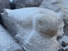 IMG_0191