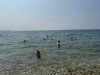 IMG_0453