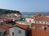 IMG_0506