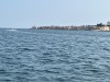 IMG_1794