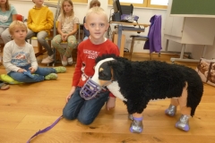 Tierschutzworkshop | Delavnica o ravnanju z živalmi