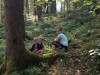 IMG-20250612-WA0011