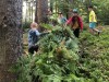 IMG-20250612-WA0023