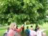 P1300240