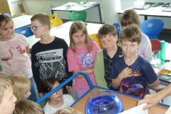 "Wetter-Workshop" (3. Klasse) | Delavnica o vremenu (3. razred)