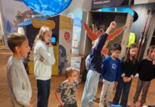 „Mission Klimaschutz“ im Landesmuseum Klagenfurt | „Poslanstvo varstvo podnebja“ v deželnem muzeju v Celovcu